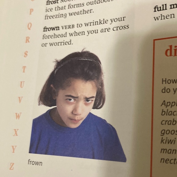 FIRST DICTIONARY (screen-free resource) - Picture 7 of 11